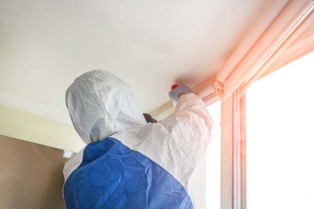 Best Mold Prevention Services  in Roanoke, AL